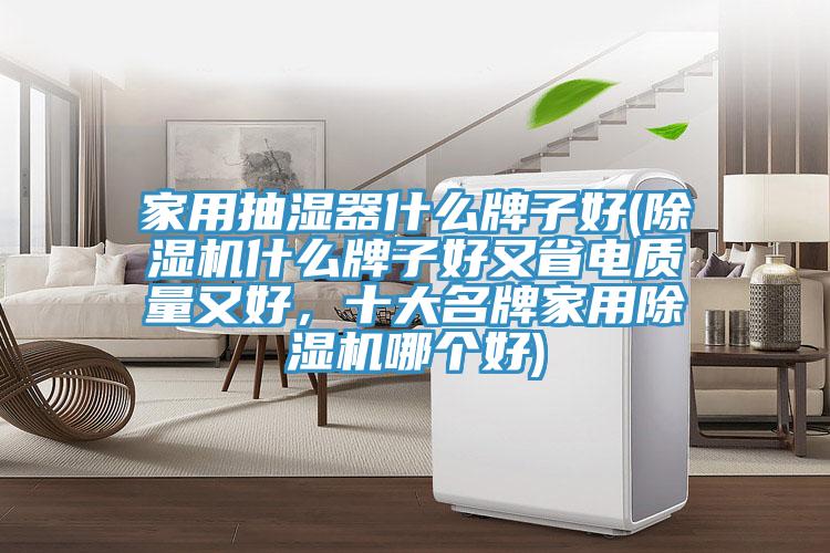 家用抽濕器什么牌子好(除濕機(jī)什么牌子好又省電質(zhì)量又好，十大名牌家用除濕機(jī)哪個(gè)好)