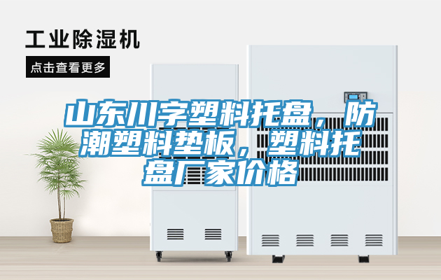 山東川字塑料托盤(pán)，防潮塑料墊板，塑料托盤(pán)廠家價(jià)格