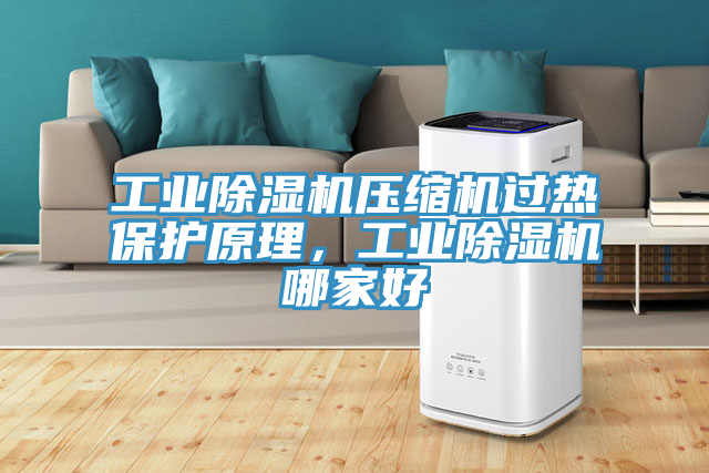 工業(yè)除濕機(jī)壓縮機(jī)過熱保護(hù)原理，工業(yè)除濕機(jī)哪家好