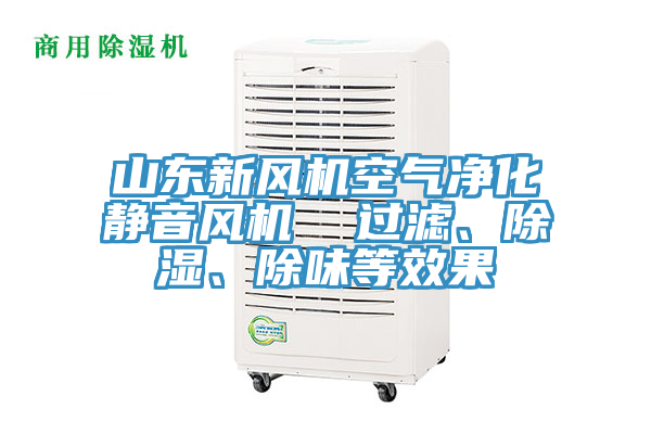 山東新風(fēng)機(jī)空氣凈化靜音風(fēng)機(jī)  過(guò)濾、除濕、除味等效果