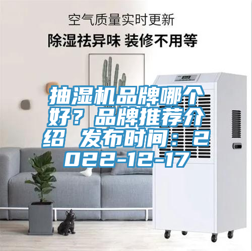抽濕機(jī)品牌哪個(gè)好？品牌推薦介紹 發(fā)布時(shí)間：2022-12-17