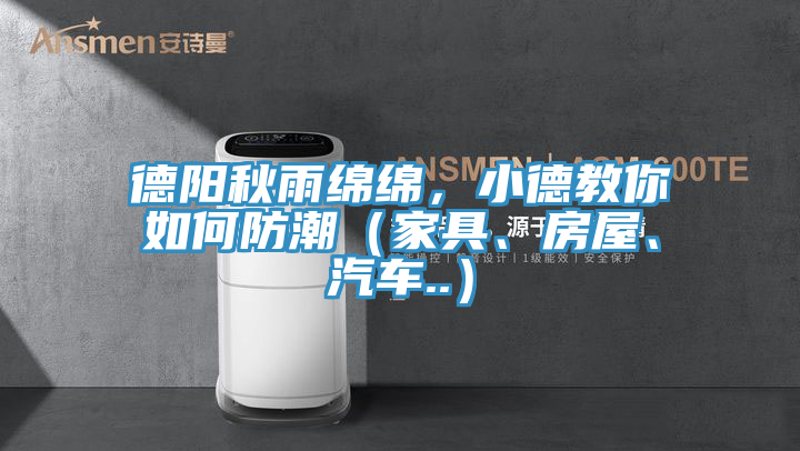 德陽秋雨綿綿，小德教你如何防潮（家具、房屋、汽車..）