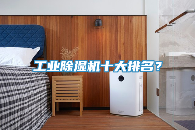 工業(yè)除濕機(jī)十大排名？