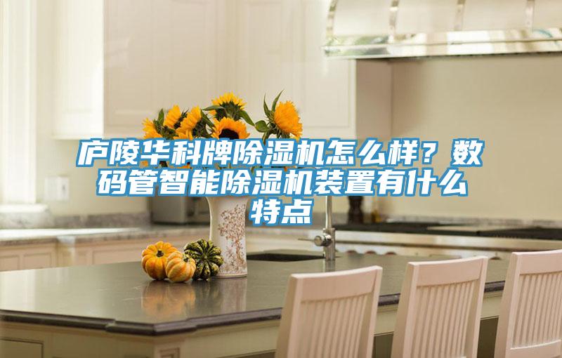 廬陵華科牌除濕機(jī)怎么樣？數(shù)碼管智能除濕機(jī)裝置有什么特點(diǎn)
