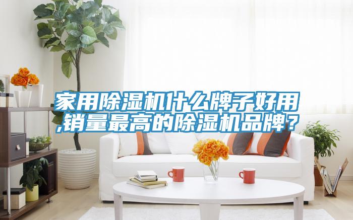 家用除濕機(jī)什么牌子好用,銷量最高的除濕機(jī)品牌？