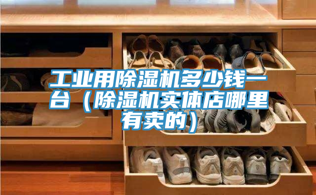 工業(yè)用除濕機(jī)多少錢(qián)一臺(tái)（除濕機(jī)實(shí)體店哪里有賣的）