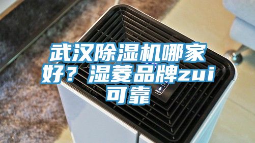 武漢除濕機(jī)哪家好？濕菱品牌zui可靠