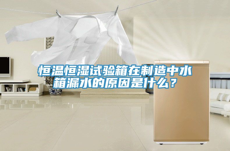 恒溫恒濕試驗箱在制造中水箱漏水的原因是什么？