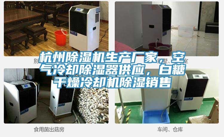 杭州除濕機(jī)生產(chǎn)廠家，空氣冷卻除濕器供應(yīng)，白糖干燥冷卻機(jī)除濕銷售