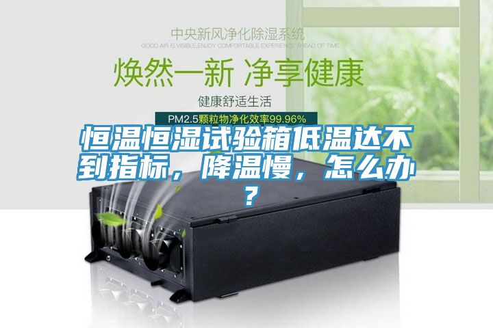 恒溫恒濕試驗(yàn)箱低溫達(dá)不到指標(biāo)，降溫慢，怎么辦？