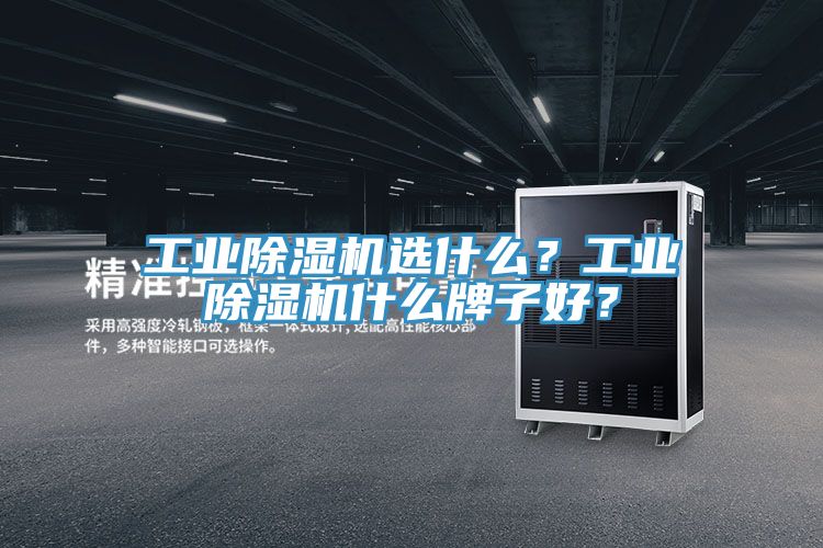 工業(yè)除濕機(jī)選什么？工業(yè)除濕機(jī)什么牌子好？