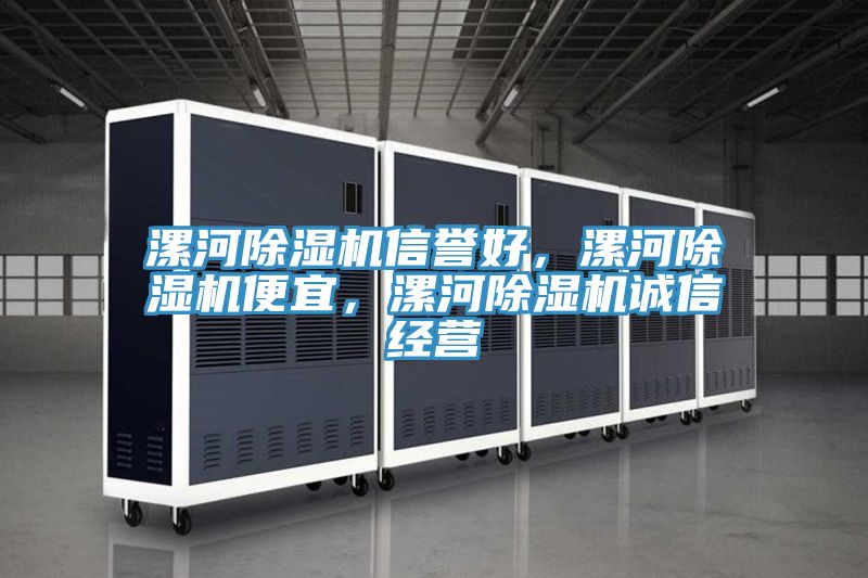 漯河除濕機信譽好，漯河除濕機便宜，漯河除濕機誠信經(jīng)營