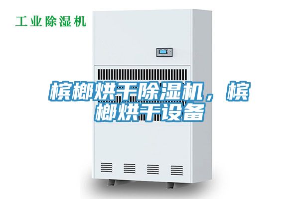 檳榔烘干除濕機，檳榔烘干設(shè)備