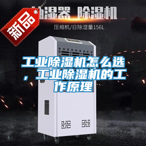 工業(yè)除濕機(jī)怎么選，工業(yè)除濕機(jī)的工作原理