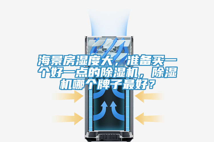 海景房濕度大，準(zhǔn)備買一個好一點(diǎn)的除濕機(jī)，除濕機(jī)哪個牌子最好？