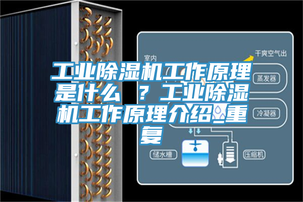 工業(yè)除濕機工作原理是什么 ？工業(yè)除濕機工作原理介紹_重復