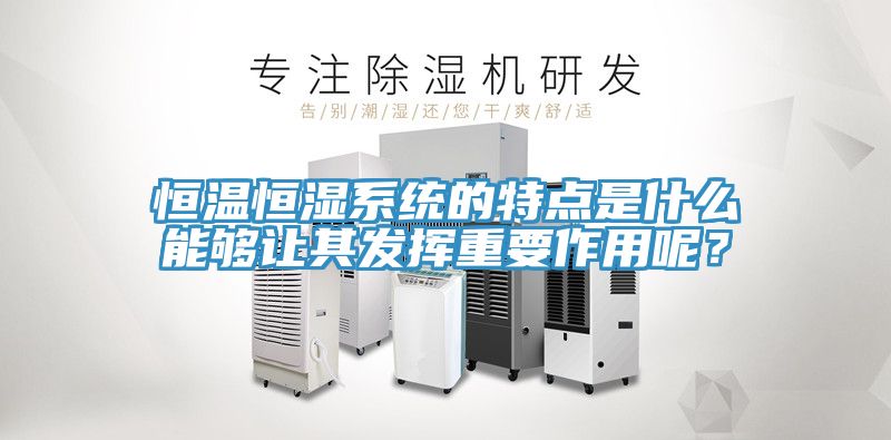 恒溫恒濕系統(tǒng)的特點(diǎn)是什么能夠讓其發(fā)揮重要作用呢？