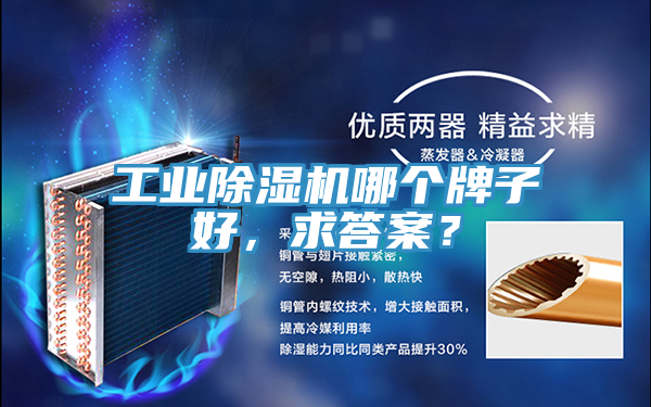 工業(yè)除濕機(jī)哪個(gè)牌子好，求答案？