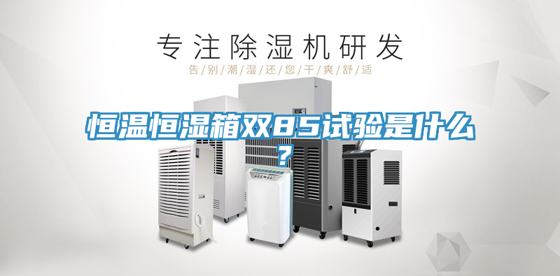 恒溫恒濕箱雙85試驗(yàn)是什么？
