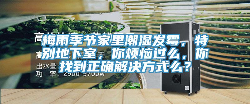 梅雨季節(jié)家里潮濕發(fā)霉，特別地下室，你煩惱過么，你找到正確解決方式么？