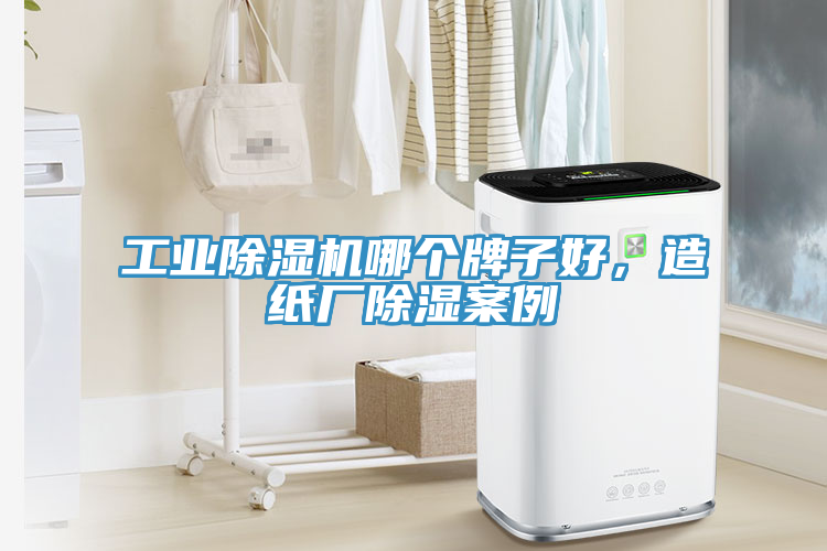 工業(yè)除濕機(jī)哪個(gè)牌子好，造紙廠除濕案例