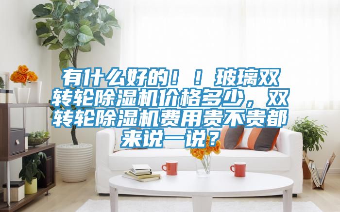 有什么好的??！玻璃雙轉(zhuǎn)輪除濕機(jī)價(jià)格多少，雙轉(zhuǎn)輪除濕機(jī)費(fèi)用貴不貴都來說一說？