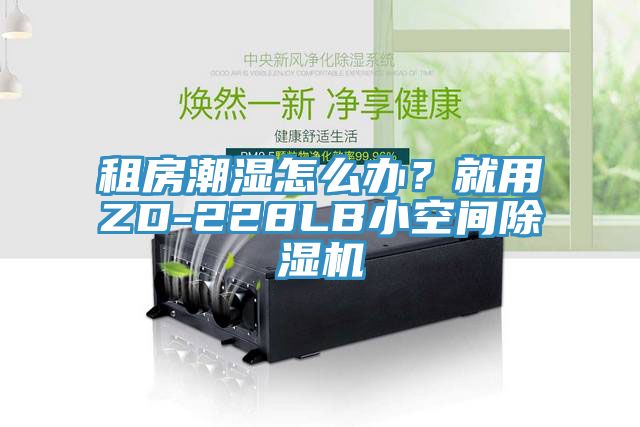 租房潮濕怎么辦？就用ZD-228LB小空間除濕機(jī)