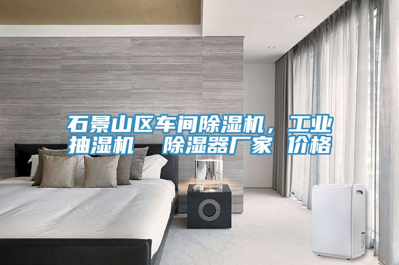 石景山區(qū)車間除濕機(jī)，工業(yè)抽濕機(jī)  除濕器廠家 價格