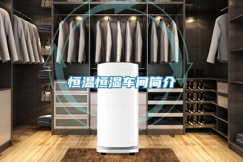 恒溫恒濕車間簡(jiǎn)介