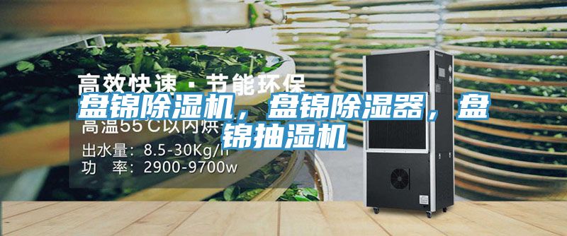 盤錦除濕機(jī)，盤錦除濕器，盤錦抽濕機(jī)