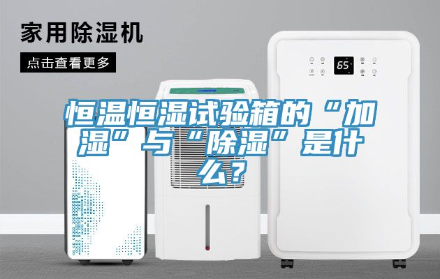 恒溫恒濕試驗箱的“加濕”與“除濕”是什么？