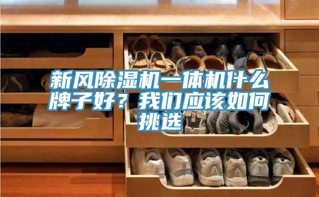 新風(fēng)除濕機(jī)一體機(jī)什么牌子好？我們應(yīng)該如何挑選