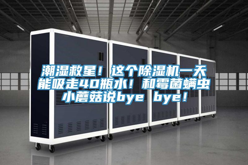 潮濕救星！這個(gè)除濕機(jī)一天能吸走40瓶水！和霉菌螨蟲小蘑菇說(shuō)bye bye！