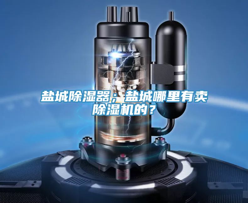 鹽城除濕器；鹽城哪里有賣除濕機(jī)的？