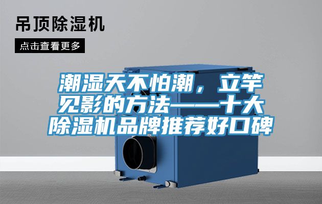 潮濕天不怕潮，立竿見影的方法——十大除濕機品牌推薦好口碑