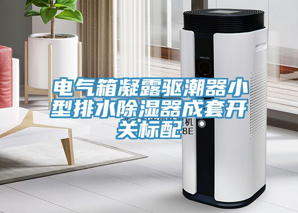 電氣箱凝露驅(qū)潮器小型排水除濕器成套開關標配