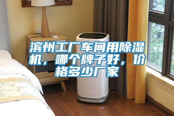 濱州工廠車間用除濕機(jī)，哪個牌子好，價格多少廠家