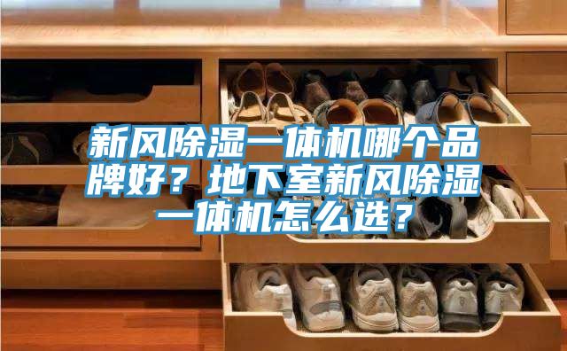 新風除濕一體機哪個品牌好？地下室新風除濕一體機怎么選？