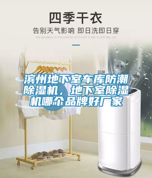濱州地下室車庫防潮除濕機(jī)，地下室除濕機(jī)哪個品牌好廠家