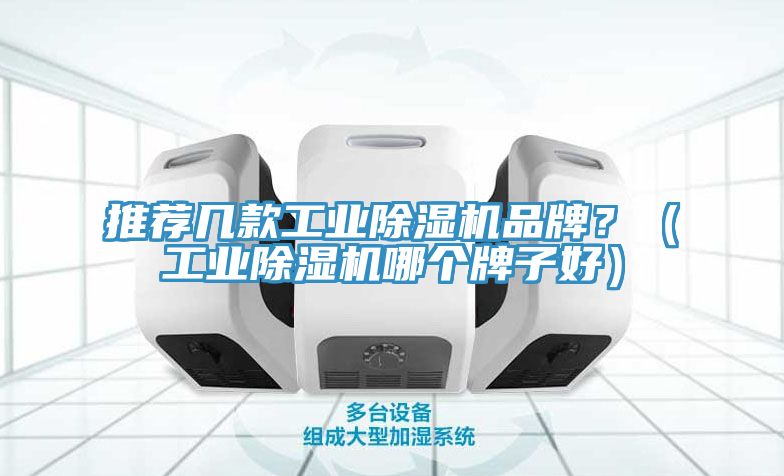 推薦幾款工業(yè)除濕機(jī)品牌？（工業(yè)除濕機(jī)哪個(gè)牌子好）