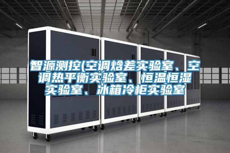 智源測控(空調(diào)焓差實驗室、空調(diào)熱平衡實驗室、恒溫恒濕實驗室、冰箱冷柜實驗室