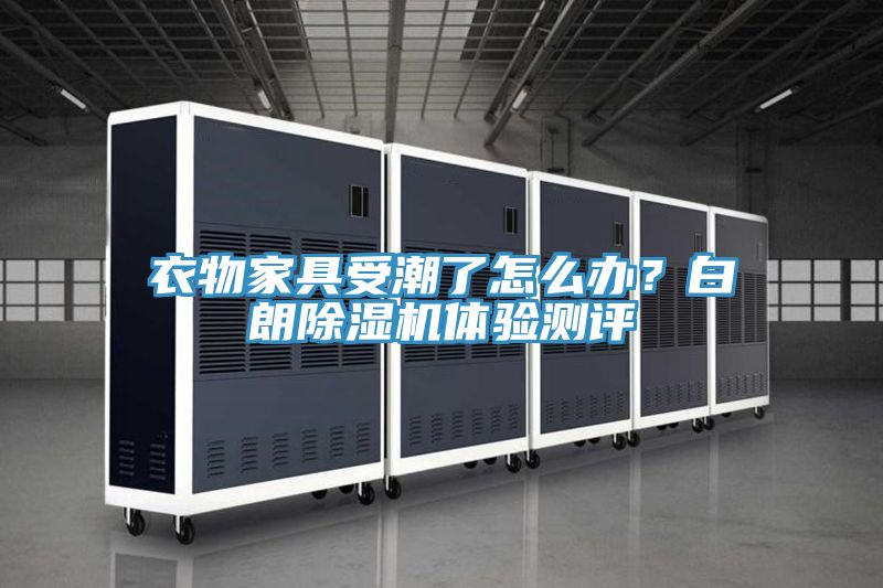 衣物家具受潮了怎么辦？白朗除濕機體驗測評