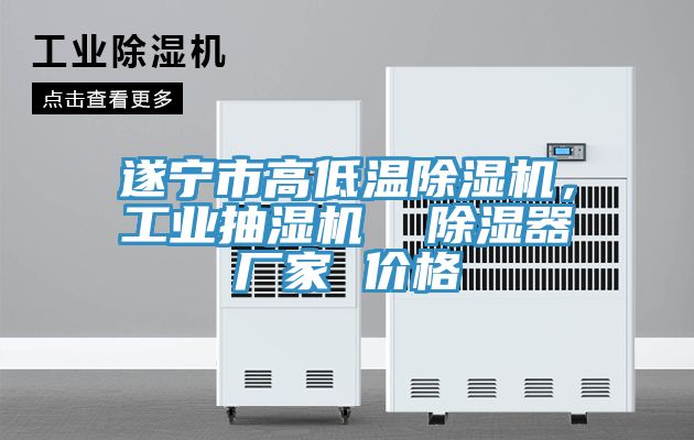 遂寧市高低溫除濕機(jī)，工業(yè)抽濕機(jī)  除濕器廠家 價格