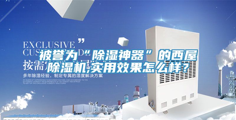 被譽為“除濕神器”的西屋除濕機,實用效果怎么樣？