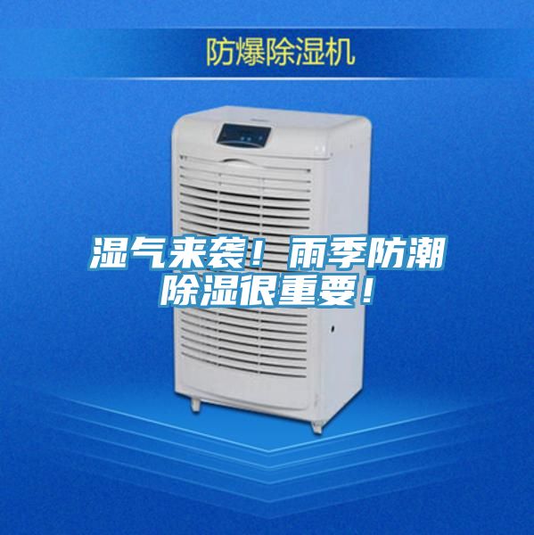 濕氣來襲！雨季防潮除濕很重要！