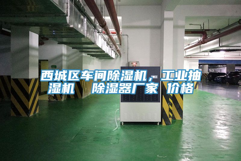 西城區(qū)車(chē)間除濕機(jī)，工業(yè)抽濕機(jī)  除濕器廠(chǎng)家 價(jià)格