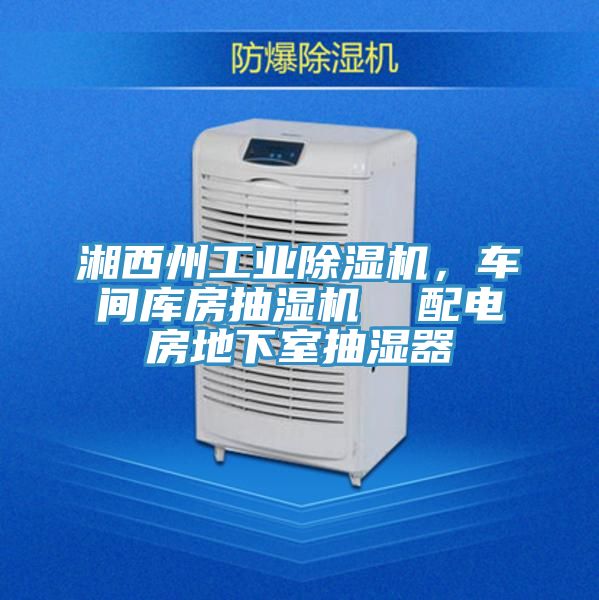 湘西州工業(yè)除濕機(jī)，車間庫房抽濕機(jī)  配電房地下室抽濕器