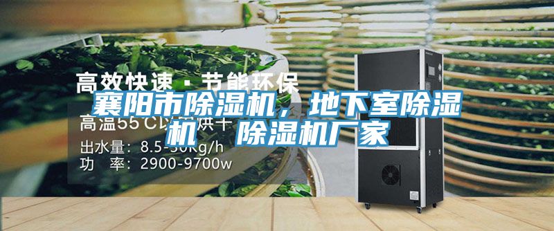襄陽市除濕機，地下室除濕機  除濕機廠家