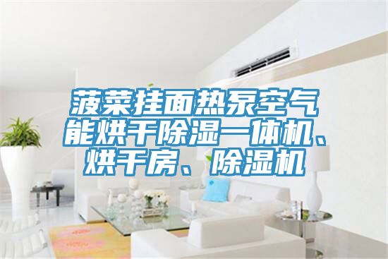 菠菜掛面熱泵空氣能烘干除濕一體機(jī)、烘干房、除濕機(jī)