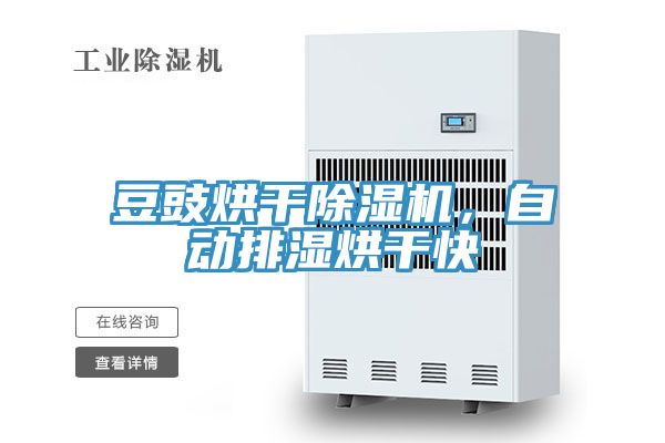 豆豉烘干除濕機(jī)，自動(dòng)排濕烘干快